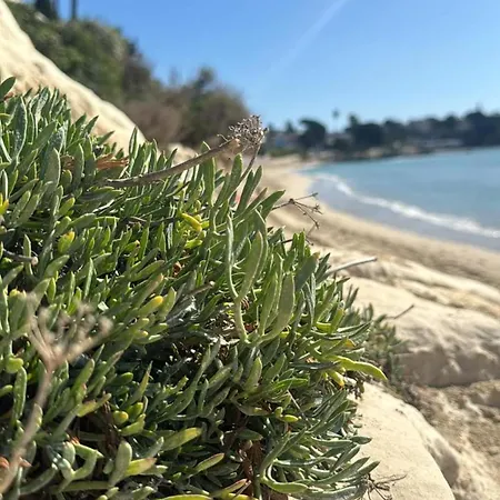 Mykonos *